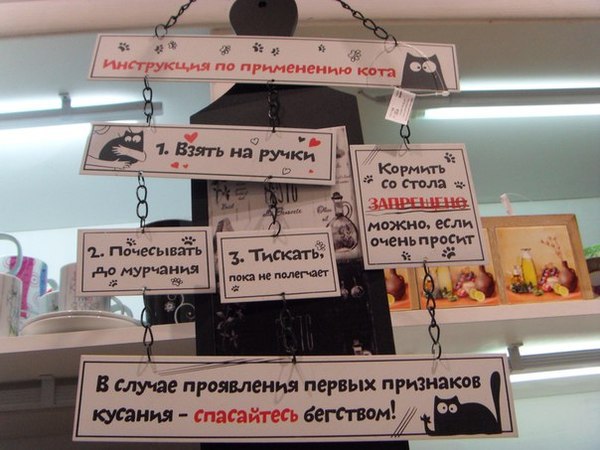 Инструкция по применению кота.