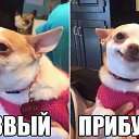 ���� ��������, ���������, 49 ��� - ��������� 11 ������� 2016
