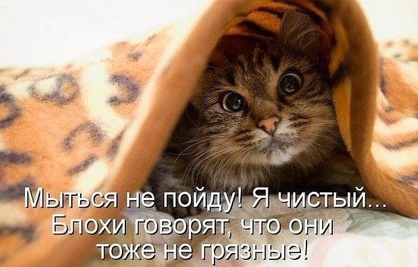 ��� ���� - 5 ��� 2016 � 13:44