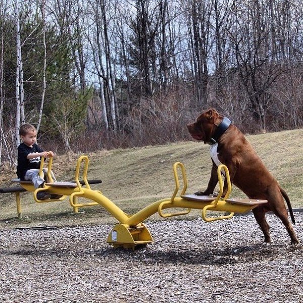      ...  .      . 80   ... - 3