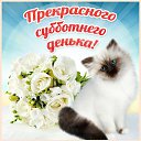 ���� ��������, �����������, 57 ��� - ��������� 19 ����� 2016 � ������ �������� ��������