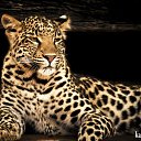 ���� Nata, ���������� - ��������� 31 ���� 2016 � ������ ���� ����������