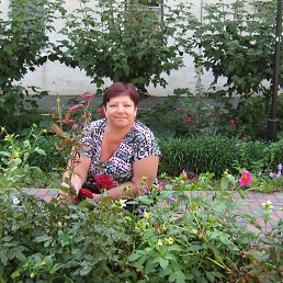 Елена, 58, Днепродзержинск
