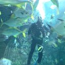 ���� ��������, ������� - ��������� 13 ������ 2016 � ������ ���� ����������