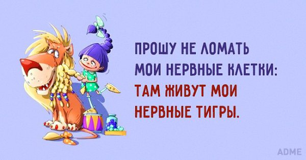   - 22  2016  11:55