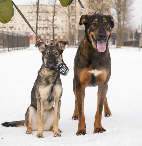 !!    !!   1.5 ,,, 2 . . ...