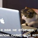  , - + , , 46  -  25  2016    