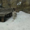  , , 35  -  12  2016   Moscow 2016 January