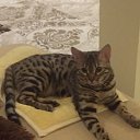 ���� ������, ������ - ��������� 24 ����� 2016 � ������ ���� ����������