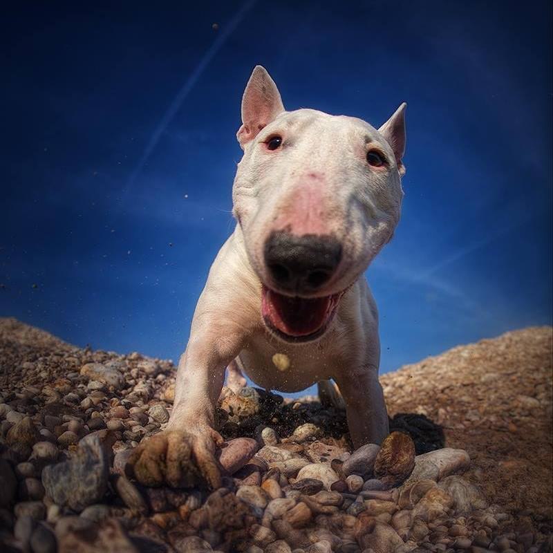    !  , -,     !