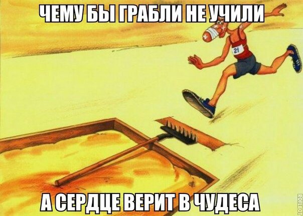  - 13  2016  09:31