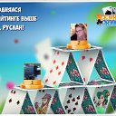 ���� �������, �����, 62 ���� - ��������� 31 ����� 2016 � ������ �������� �������-�������