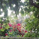 ���� Ismixan-705, ����, 50 ��� - ��������� 23 ���� 2016 � ������ ���� ����������