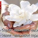 ���� �����, ��������������, 53 ���� - ��������� 26 ������� 2016 � ������ ������ ��������