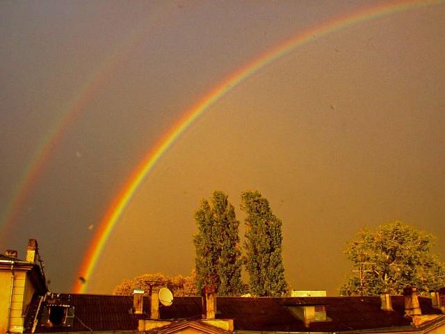    , ! ,  ,  ,   , -   ,  ... - 5