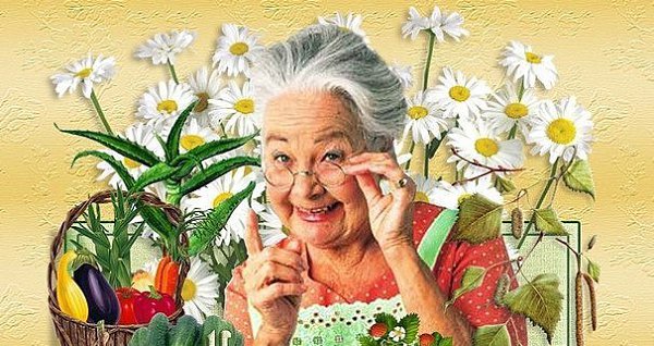 БАБКИНЫ СОВЕТЫ. 1) На брошенные вещи садится злой дух, вещи надо вешать. 2) Волосы и стриженные ...