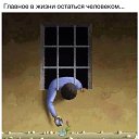 ���� ����, ������, 39 ��� - ��������� 23 ������� 2016 � ������ ���� ����������