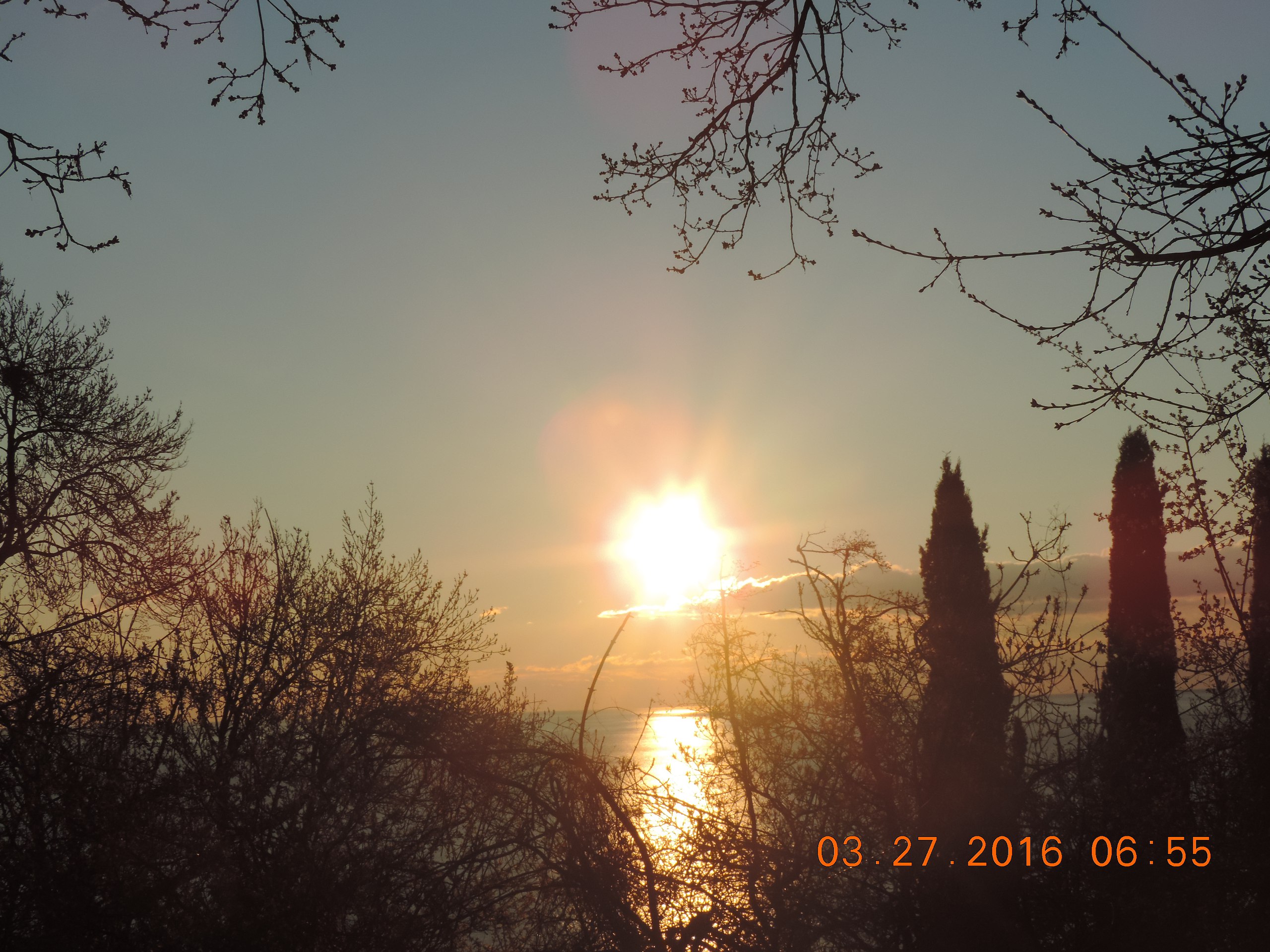 Aleksandr Voznii - 27 ����� 2016 � 08:59 - 6