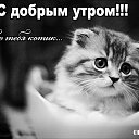  Ksuha, , 32  -  9  2016    