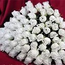 ���� ������..., ������, 55 ��� - ��������� 15 ������� 2016 � ������ ������ ��������