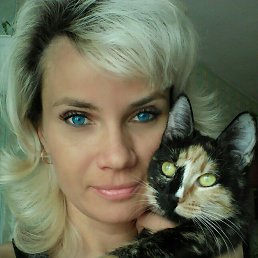 ����, ������, 50 ���