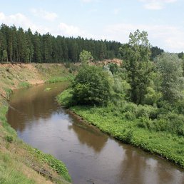 ���� �����, ��������, 71 ��� - ��������� 29 ����� 2016