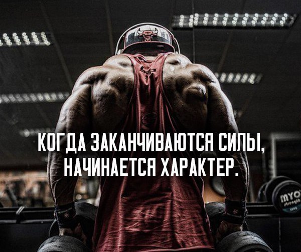  -   - 17  2016  02:56