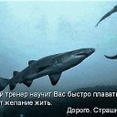 ���� �������, ������, 46 ��� - ��������� 18 ������ 2016 � ������ ������ ��������