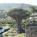 ���� Kazimieras, ����� - ��������� 13 ���� 2016 � ������ �Tenerife�