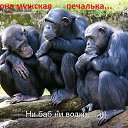 ���� Alekcandr, ������ - ��������� 20 ��� 2016 � ������ ���� ����������
