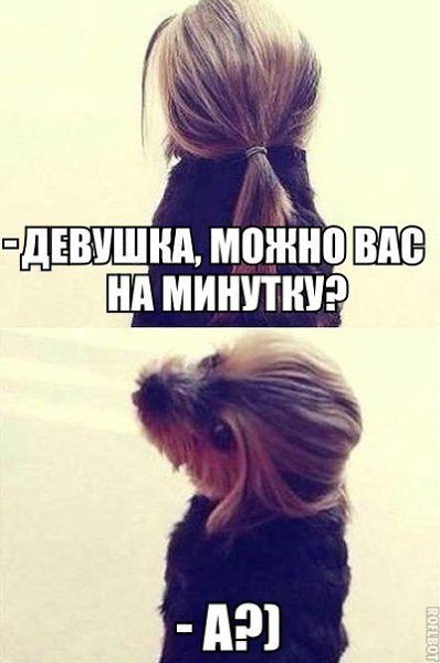   - 30  2016  05:03