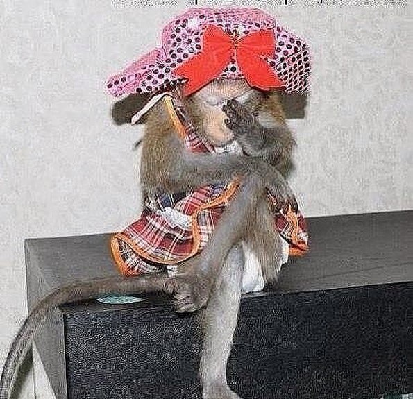      ?       ...   ?    ...