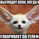 ���� ���������, ������, 53 ���� - ��������� 14 ����� 2016
