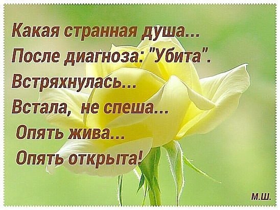  - 7  2016  07:10