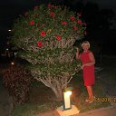 ���� �������, �������� - ��������� 29 ��� 2016 � ������ �������� 2016 ���