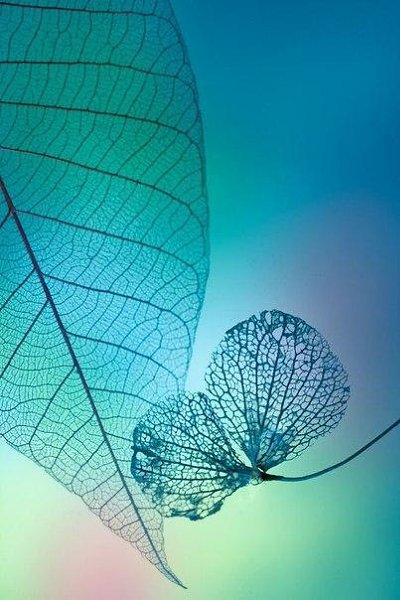 Ты просто есть... и большего не надо. Смотря в окно, я улыбаюсь снегу. Там, за окном - морозная ... - 3