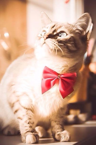       - 26  2016  08:06 - 3