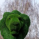  , , 63  -  9  2016      )))))