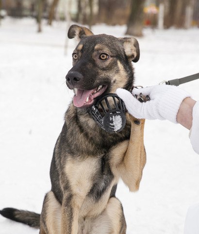 !!    !!   1.5 ,,, 2 . . ... - 3