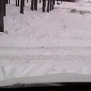 ���� ��������, �����-���������, 36 ��� - ��������� 2 ��� 2016 � ������ ���� ����������