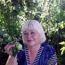 ���� �������, ������ - ��������� 4 ������� 2016 � ������ ���� ����������