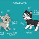 ���� �����, �������, 36 ��� - ��������� 4 ������ 2016 � ������ ������ ��������