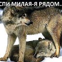 ���� �������, ���� - ��������� 25 ����� 2016 � ������ ���� ����������
