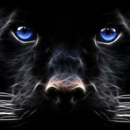 �����, �����������, 45 ���