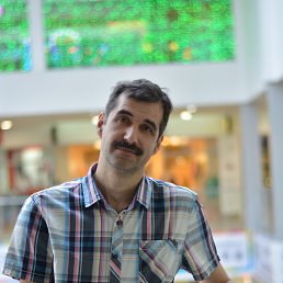 ������, ���������, 53 ����