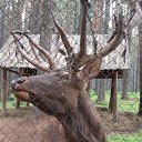  , - -  21  2016    .