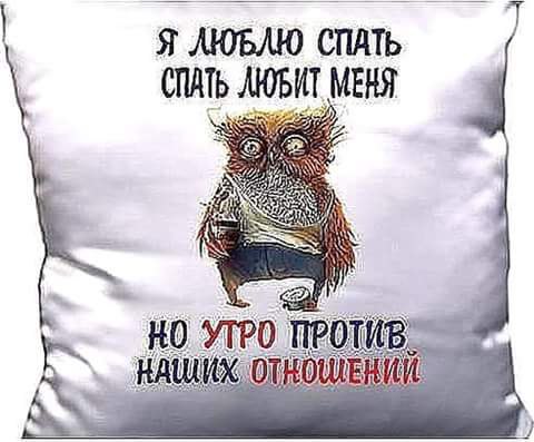   - 17  2016  10:00