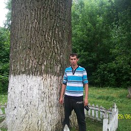 ���� ��������, ����, 39 ��� - ��������� 14 ���� 2016