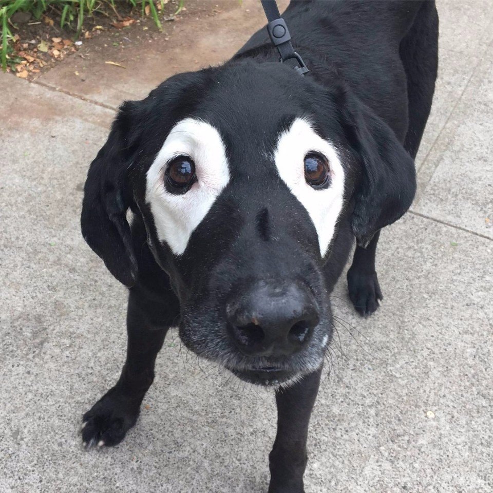ϸ-