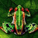 ���� �������, �����, 53 ���� - ��������� 24 ����� 2016 � ������ ���� ����������